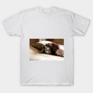 Hidden Cat T-Shirt